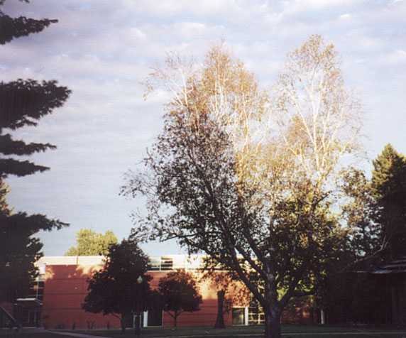 Noyce Science Bldg.